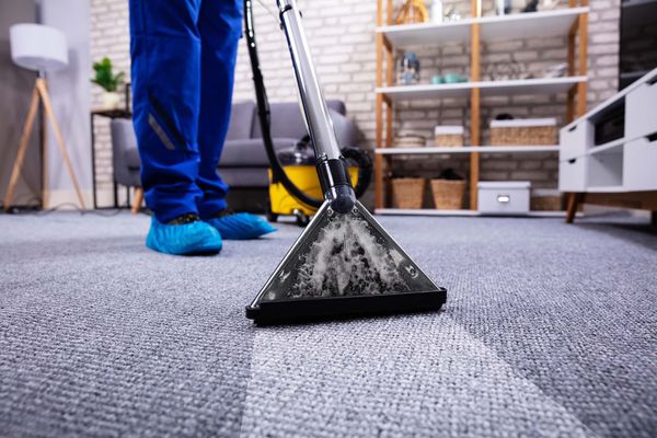 Professional carpet cleaning in progress with visible contrast between cleaned and dirty areas.