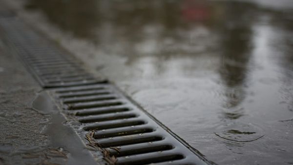 Yard Drainage and Pavers: A Scope That Holds Up