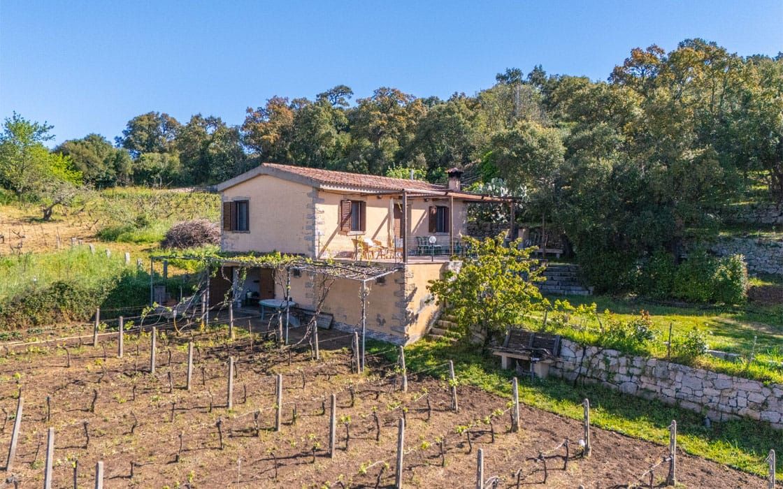 Landhaus mit eigenem Weinberg auf Sardinien für 110.000€