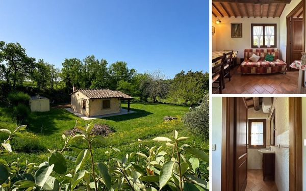 Rustico mit großem Oliven-Grundstück in der Toskana für 63.000€