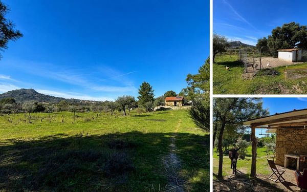 Selbstversorger-Quinta mit 1,5 Hektar Land bei Castelo Branco für 135.000€