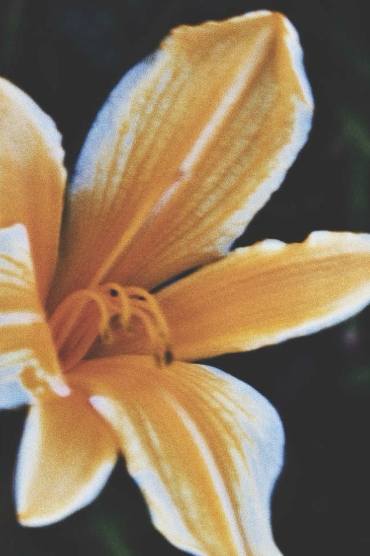 Training and trusting your intuition, divine timing, living your ideal life now, + more