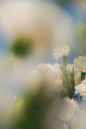 a few words on the quiet power of gratitude