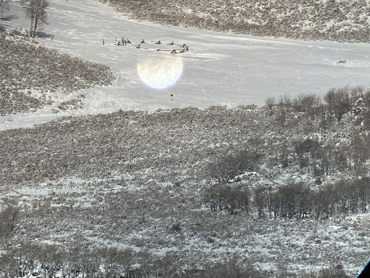 Finding Mule Deer Throughout the Year