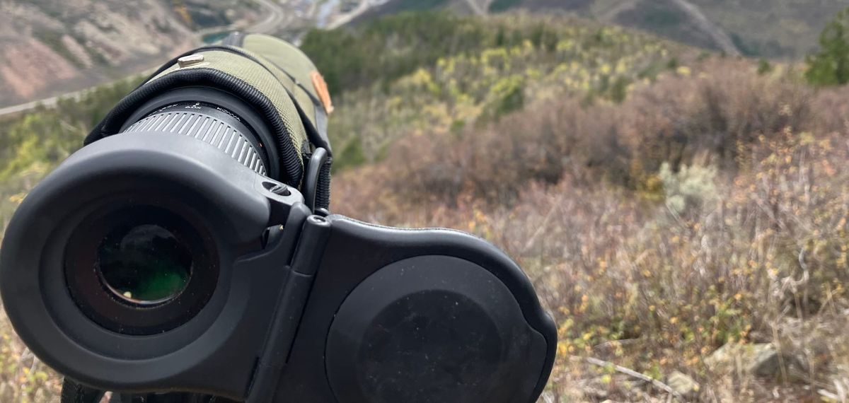 Post Elk Rut