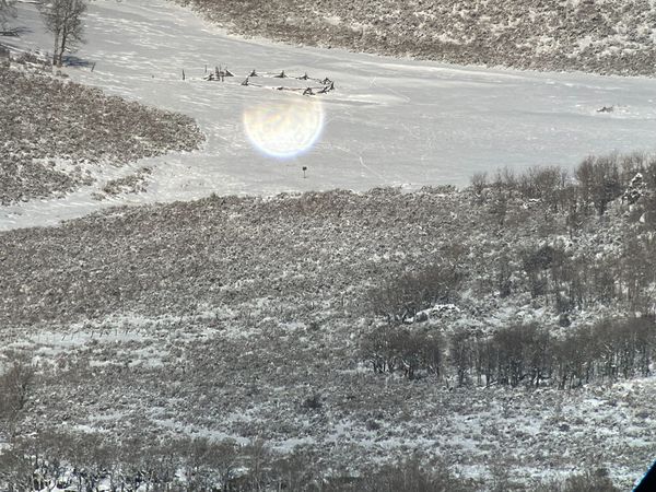 Finding Mule Deer Throughout the Year