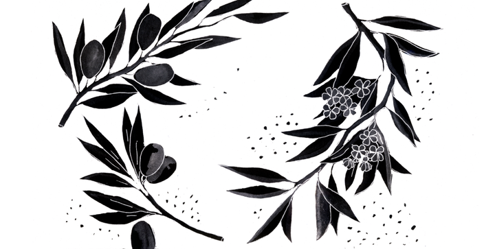 Four fresh episodes on fascism, repression & emergent sites of struggle