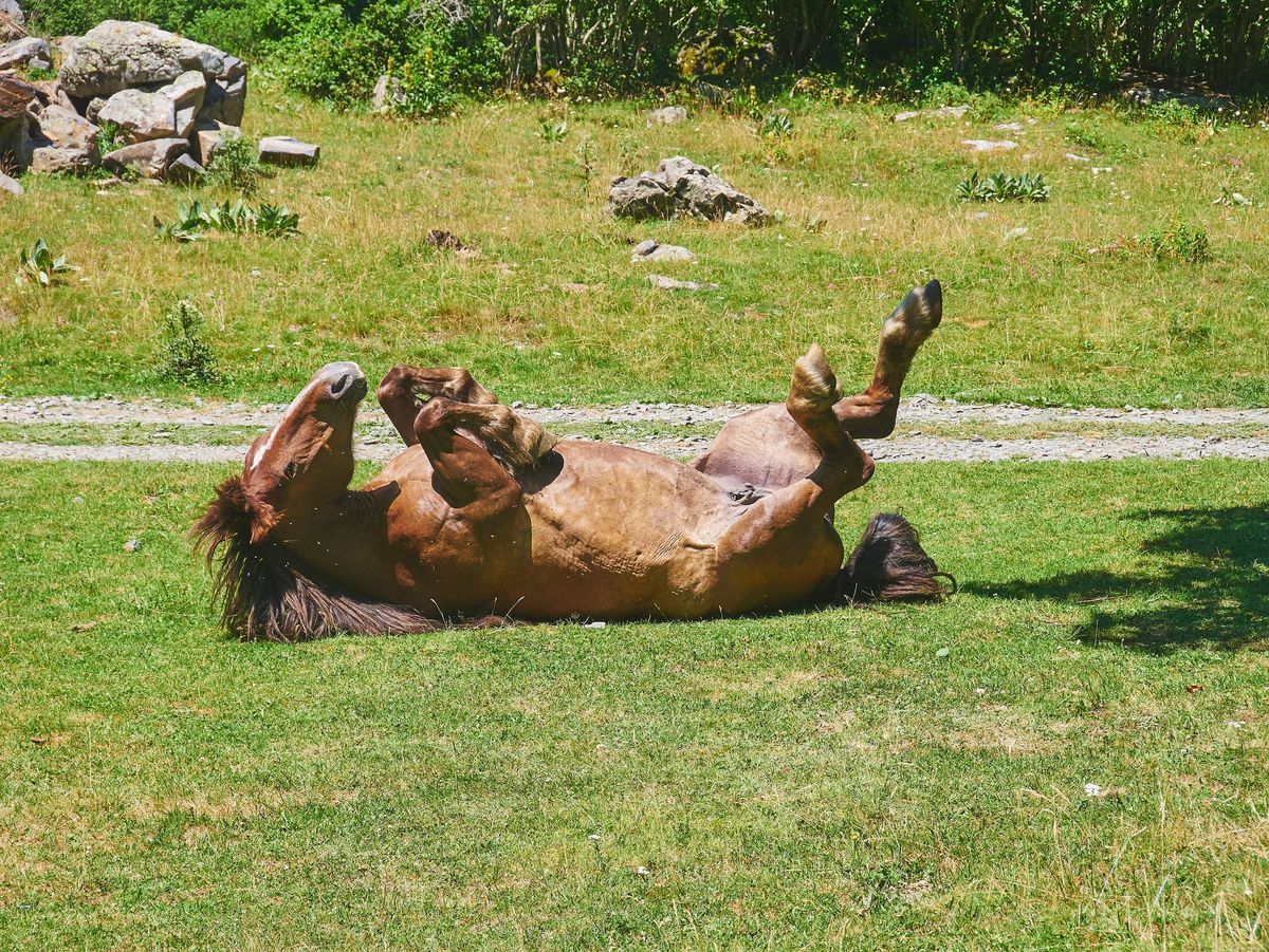 The Joy of Extremely Personal Software