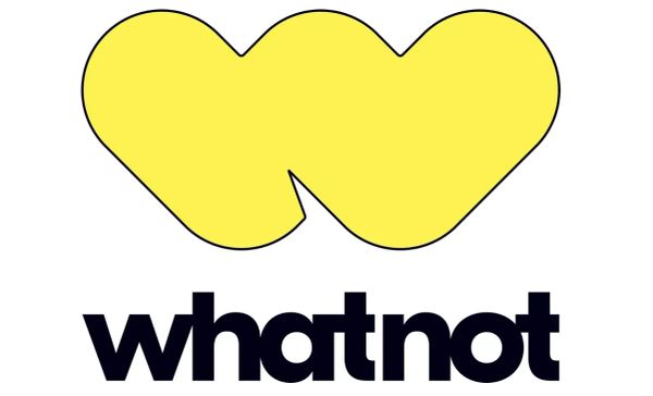 Discover Whatnot: The Live Auction App LEGO Lovers Didn’t Know They Needed