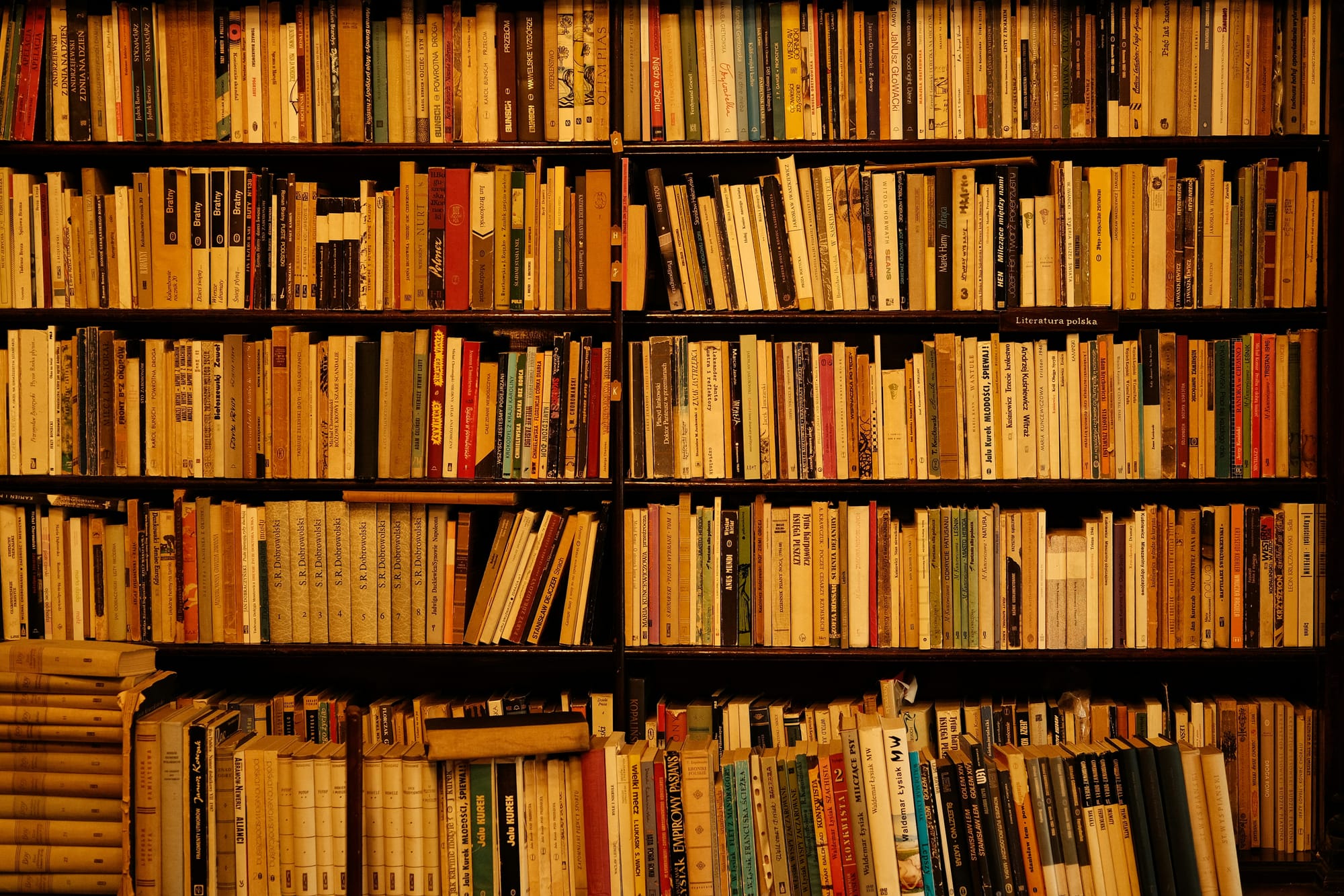 What are banned books? The Top 10 Most Challenged Literary Works