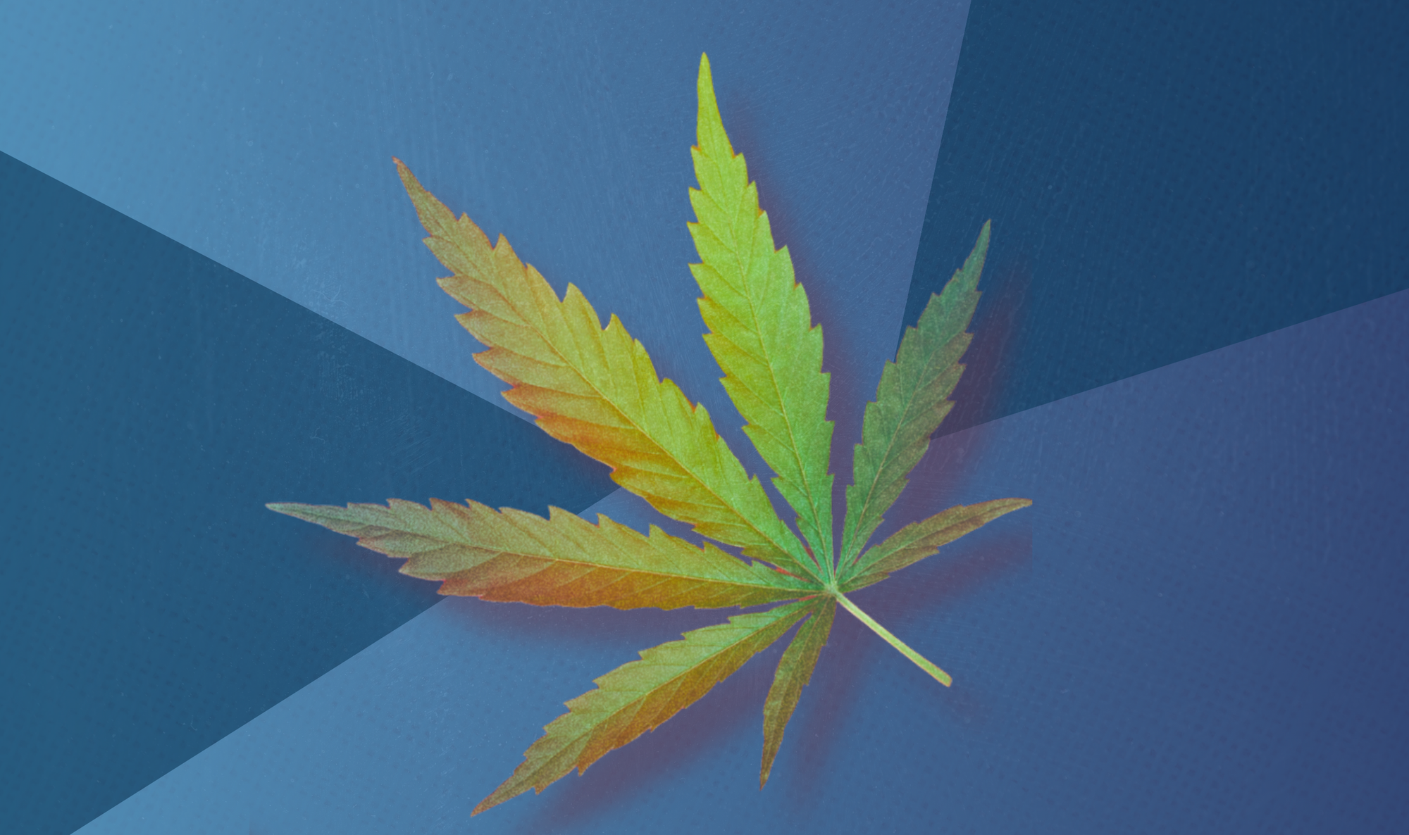 April medical marijuana reclassification gains new attention online