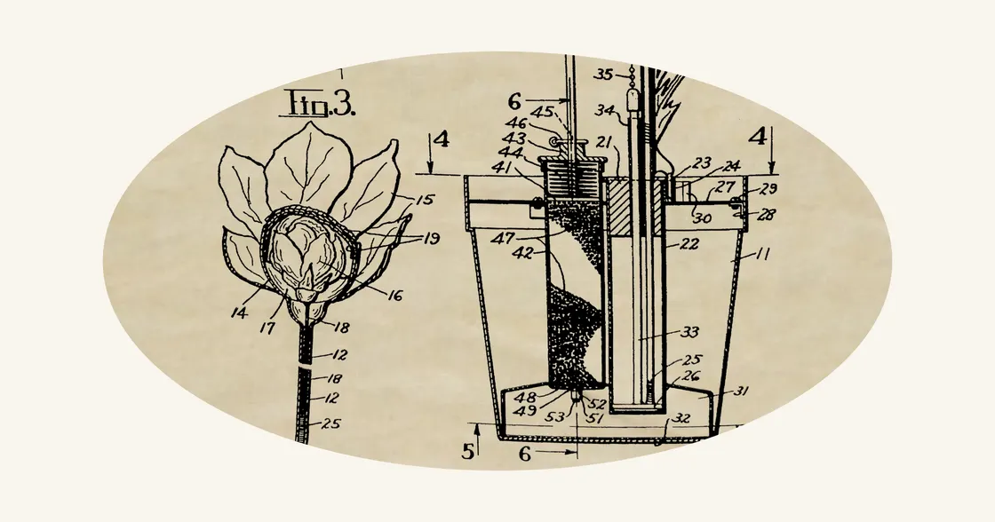 June 18: Blooming Rose