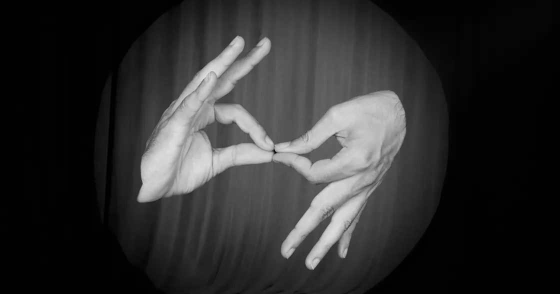 Magic Access: Understanding the Role of the ASL Interpreter