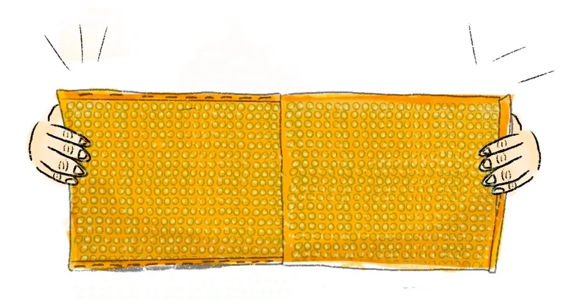 Glasses, Watch, and ID