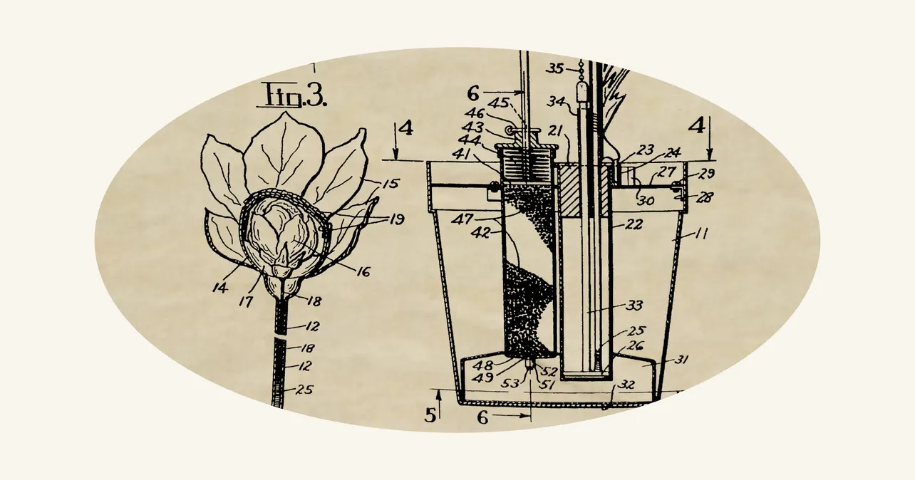 June 18: Blooming Rose