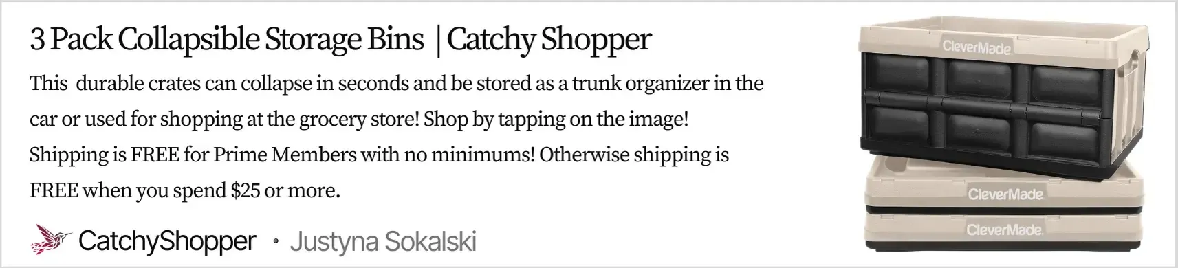 Collapsible Storage Bins