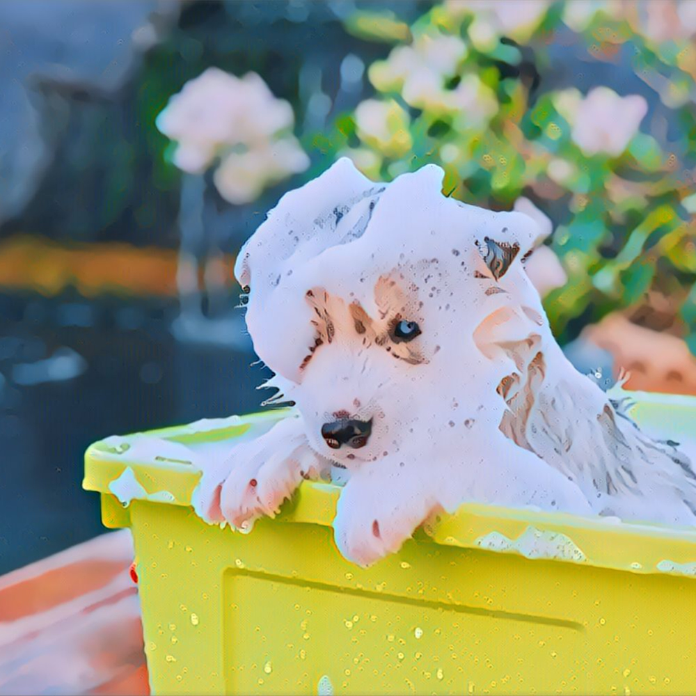 The Best Puppy Shampoos – and Why They're Worth the Splurge