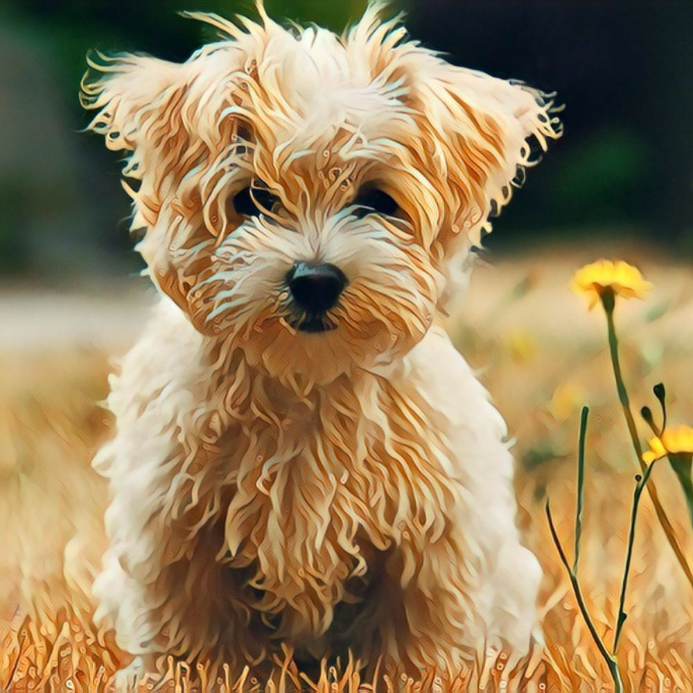 15 Pawsitively Perfect Gifts For Any Dog Parent