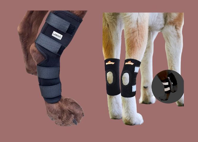 Photo-Illustration: Catchy Shopper; Photos: Retailers