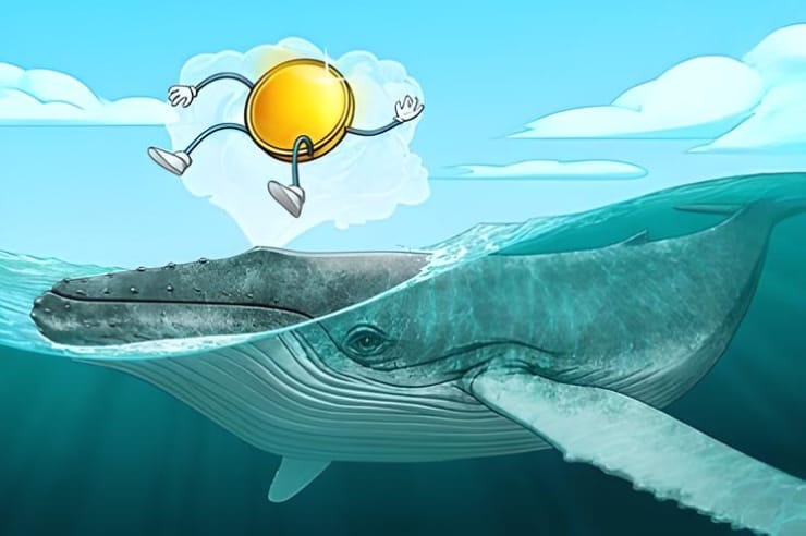 Whales Are Positioning for the Next Altcoin Rally, DeFi Is 'Waking Up' — Finance Redefined