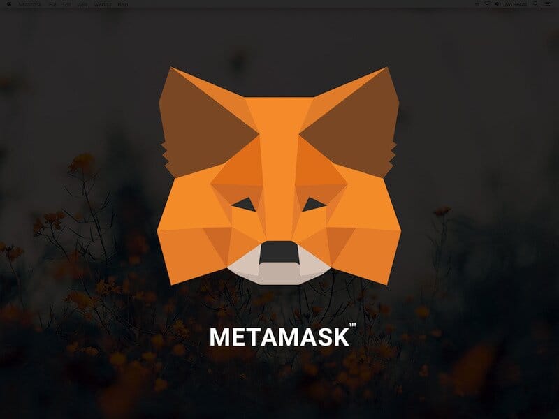 MetaMask Hints at Token Launch While Linea Keeps Delaying Its TGE: Golden Opportunity or Just Stalling?