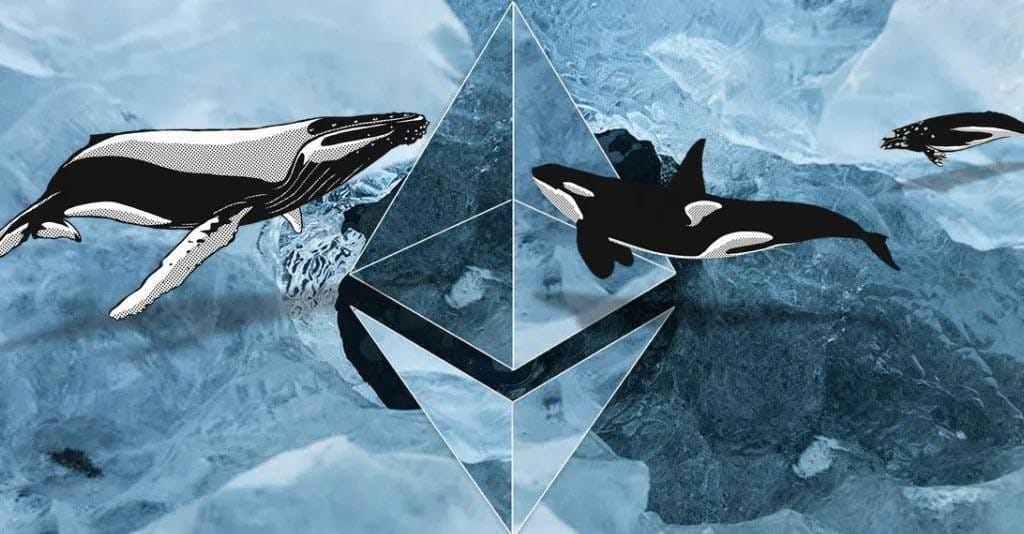 Ethereum Whales Accumulate $1.3B in ETH, Reigniting Hope for a Recovery to $4,000