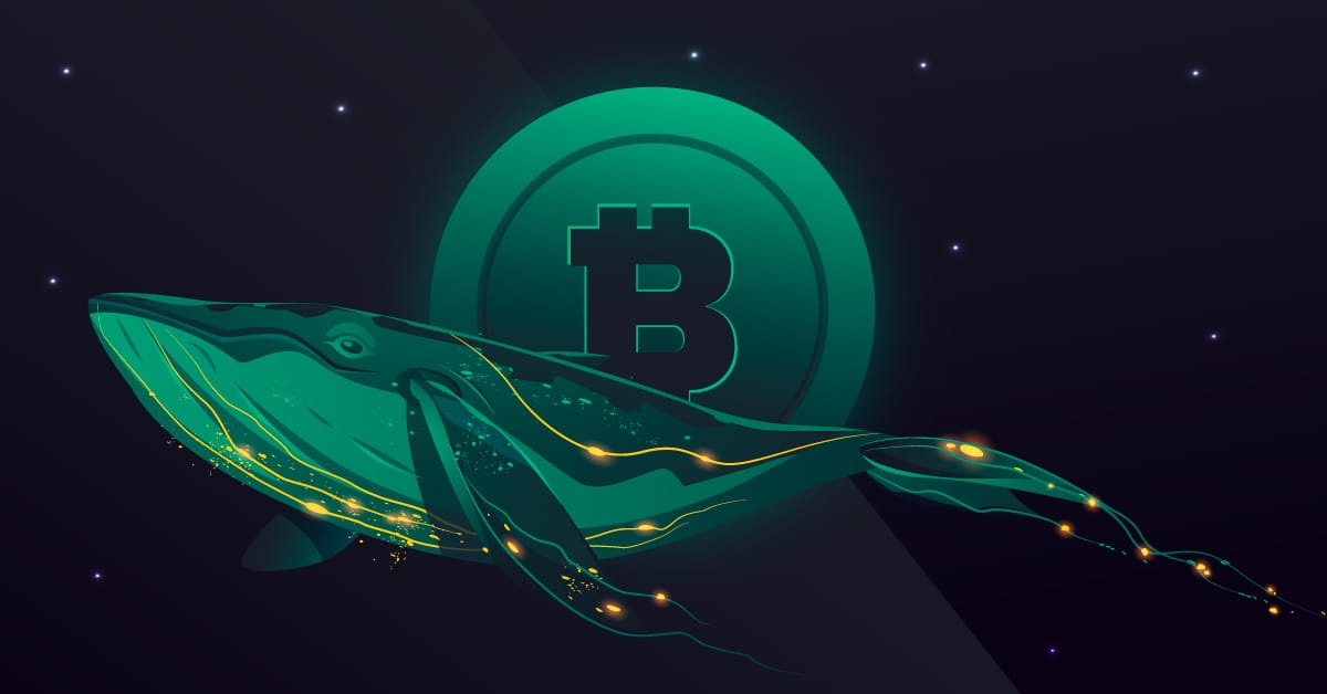 Do Whales Still Decide Whether the Bitcoin Market Goes Green or Red? The Answer Has Changed