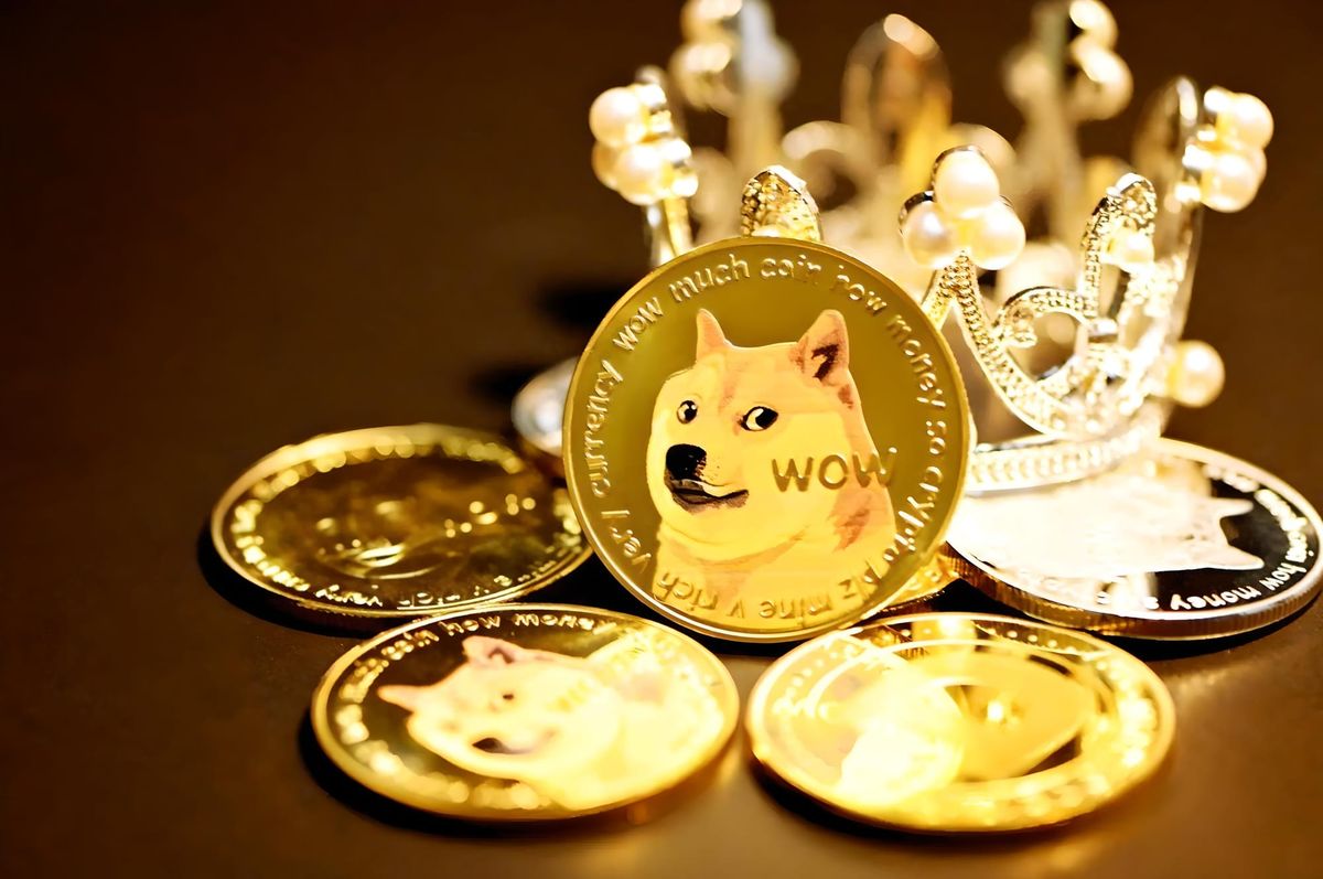 Dogecoin Daily Transactions Hit ATH Thanks to DRC-20