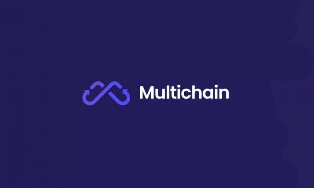 Wallet Linked to Multichain Witnesses Another Large Transfer