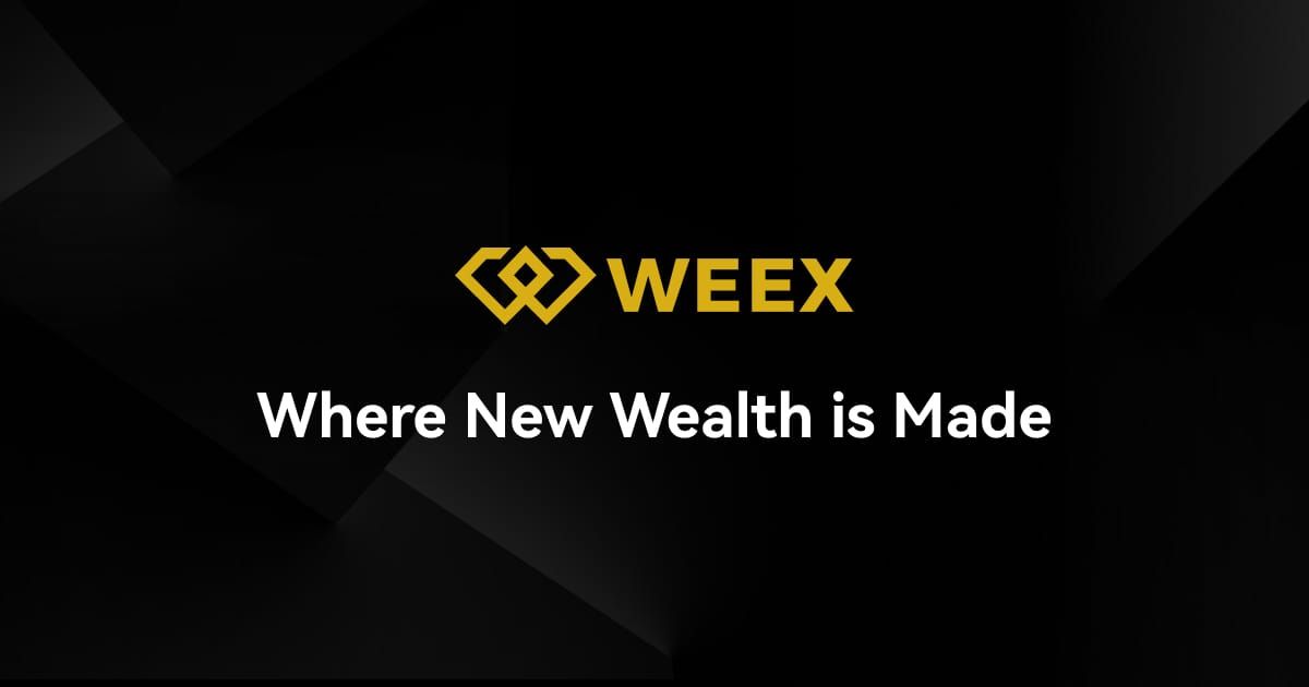 Weex x Web3Station