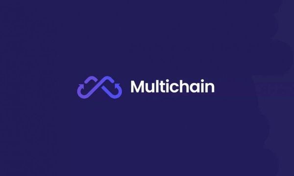 Wallet Linked to Multichain Witnesses Another Large Transfer
