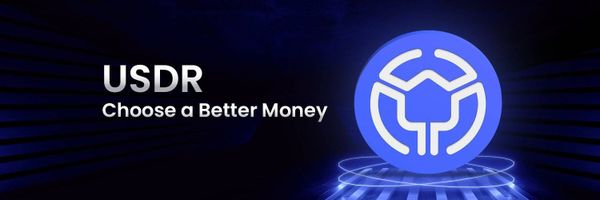 Real USD (USDR), a Real Estate-Backed Stablecoin, Depegs 50%