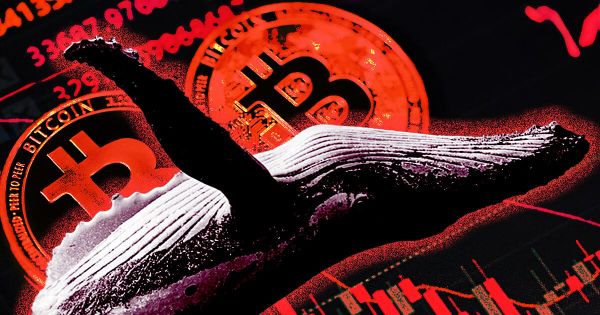 Cá voi Bitcoin đang bán ra, nhưng chuyên gia khẳng định: Không có cuộc “tháo chạy” nào xảy ra