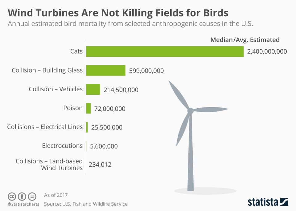 Comparison of causes of bird death per year in the US. Wind turbines account for about 230000 vs. 2.4 billion killed by cats