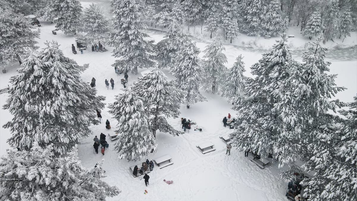 Topuk Yaylası Tabiat Parkı: Domaniç'te Kamp Yapmak ve Doğayla Buluşmak İçin Kapsamlı Rehber