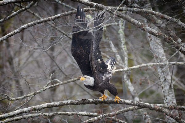 Intuition and the perfect shot