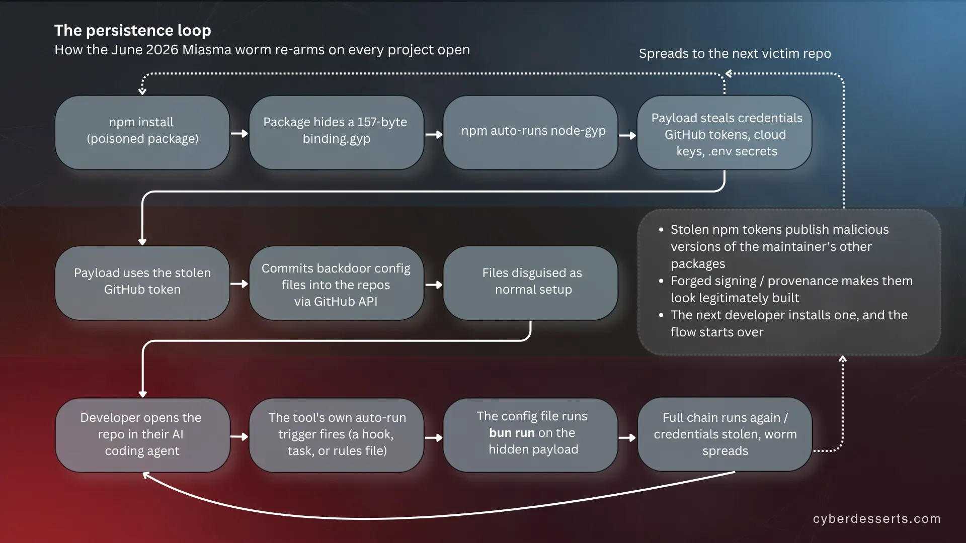 Flow diagram of the June 2026 Miasma npm worm. Phase one, the machine is compromised during npm install via a hidden binding.gyp file that steals credentials. Phase two, the payload uses stolen tokens to commit backdoor config files into AI coding assistant directories. Phase three, opening the project in an agent re-runs the payload via bun run, and the worm spreads to other packages.