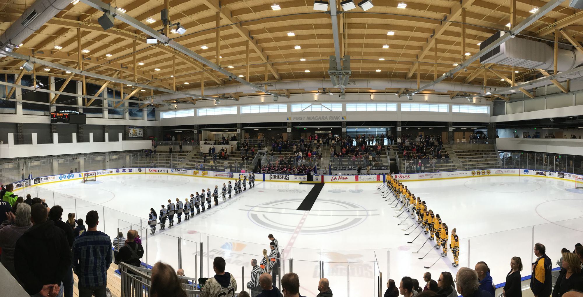 Buffalo Beauts Beginning to Come Together