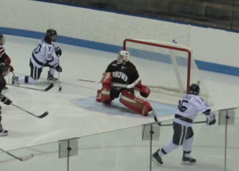 NCAA Women's Hockey: What to Watch, Week 23