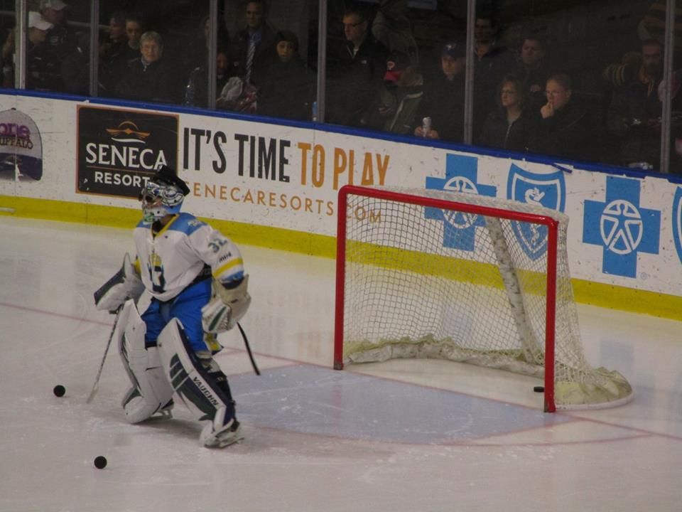 NWHL: Connecticut Whale Season In Review