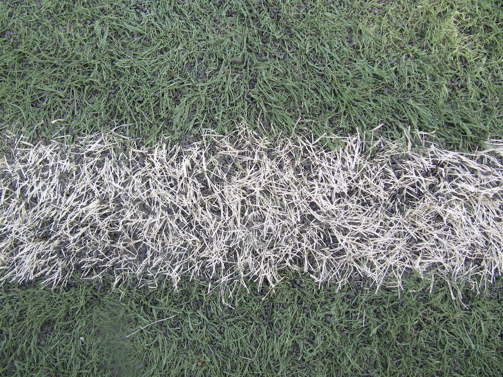 Summer Diaries #4: Just Like That, Summer Is Over