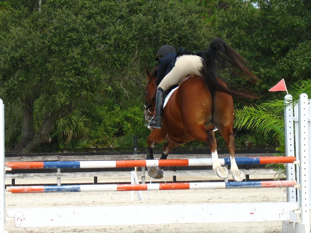 Equestrianism at the 2016 Olympics