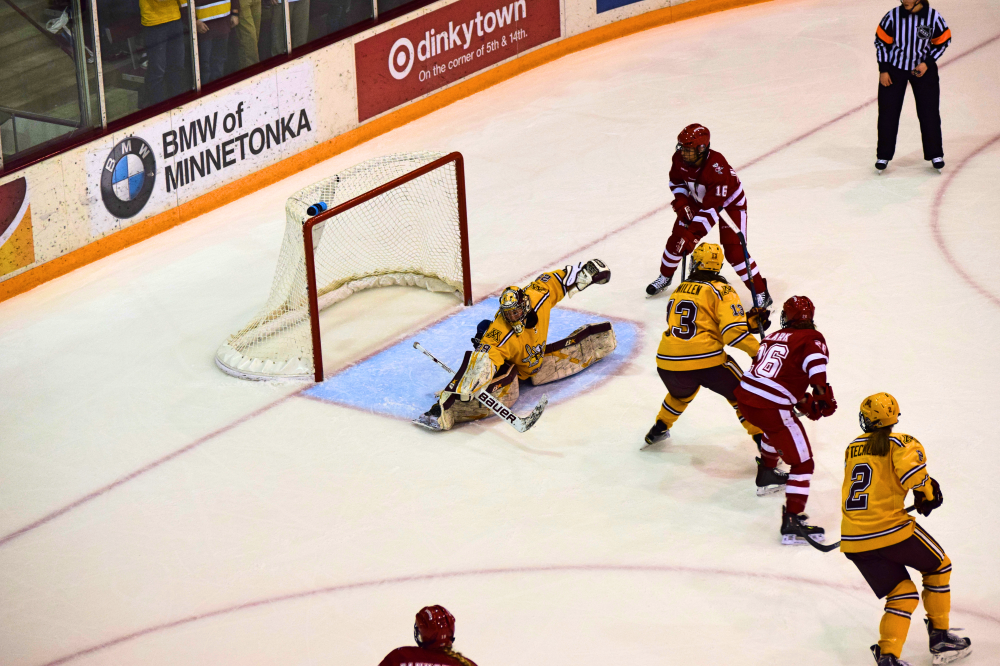 Meet the 2016-17 NWHL Rookies