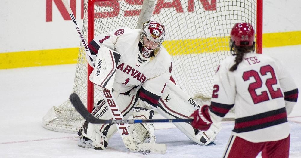 NCAA Women's Hockey: What to Watch, Week 6