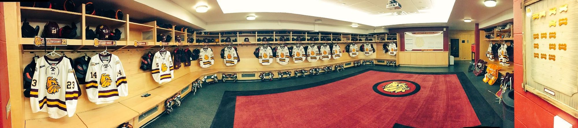 NCAA Women's Hockey: What to Watch, Week 20