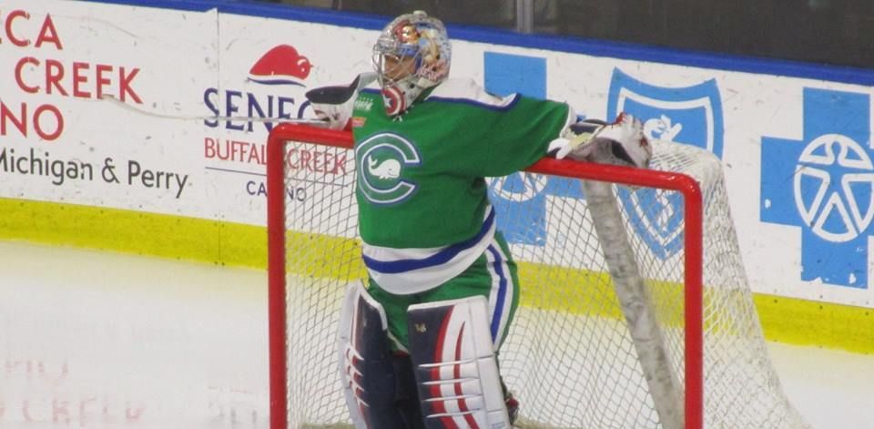 NWHL: Connecticut Whale Wrap Up Disappointing Season