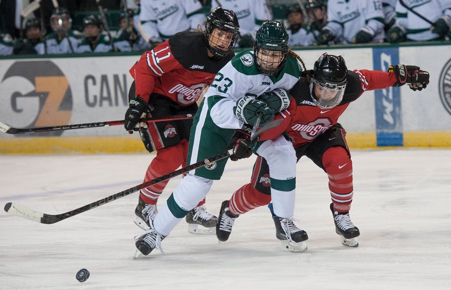 NCAA Women's Hockey: What to Watch, Week 21