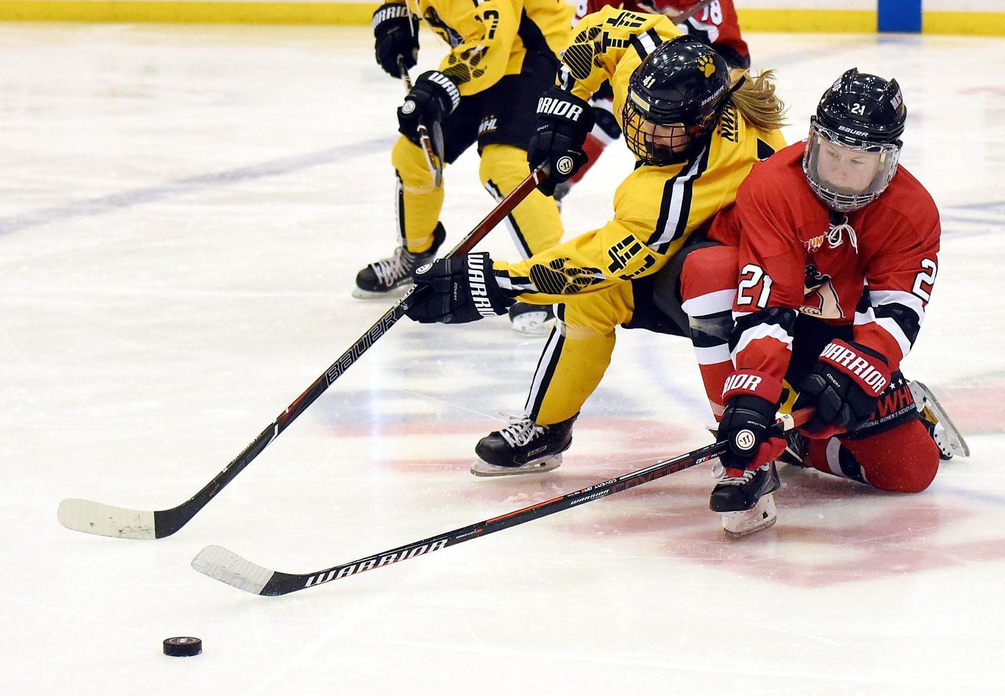 NWHL (Sort Of) Weekend Wrap: Week Fifteen