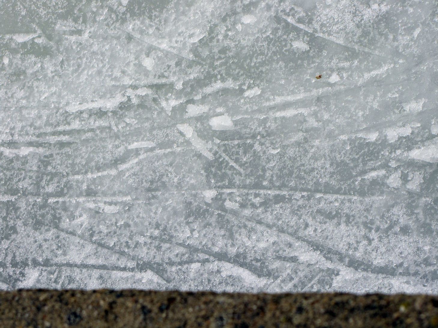 What Does Women's Hockey Look Like Amid a Pandemic?