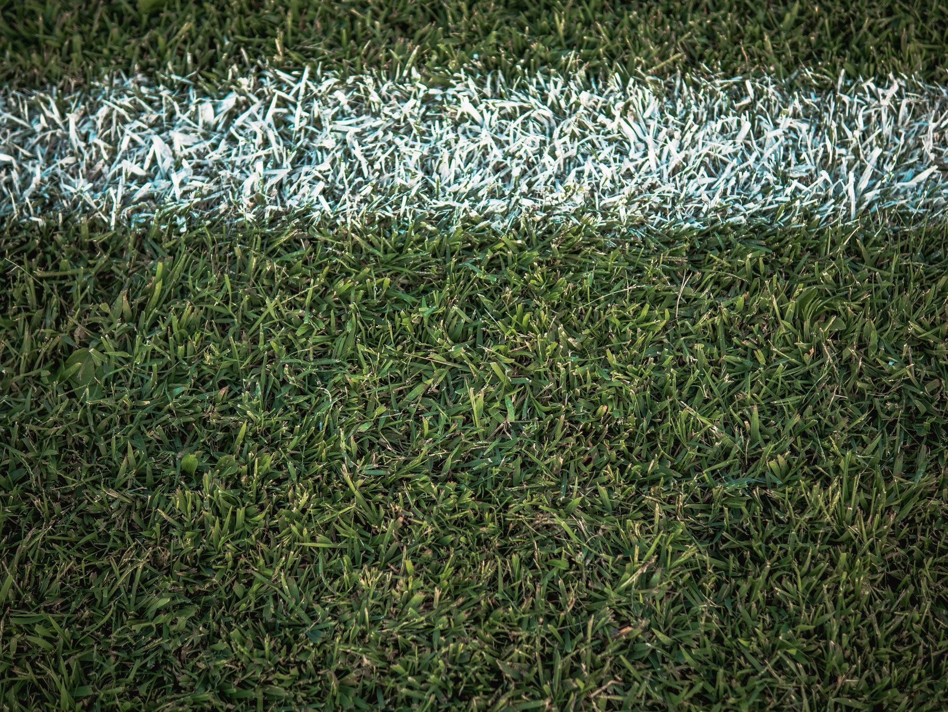 When History Happens, Will Canadians Hear It?